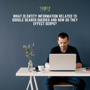 Entity Information   Relationship With SERPS and Google Search Queries 1 1