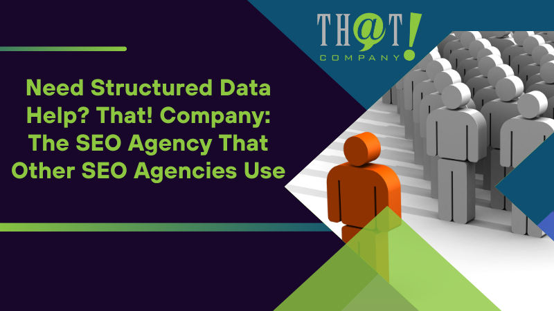 Need Structured Data Help That Company The SEO Agency That Other SEO Agencies Use
