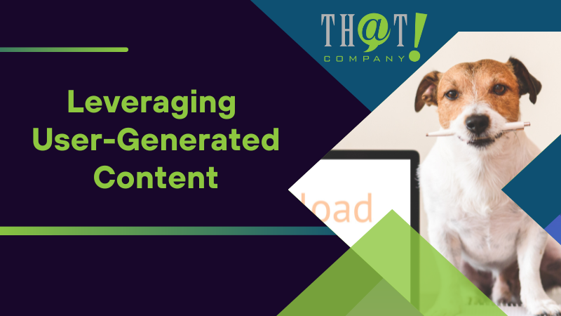 Leveraging User Generated Content