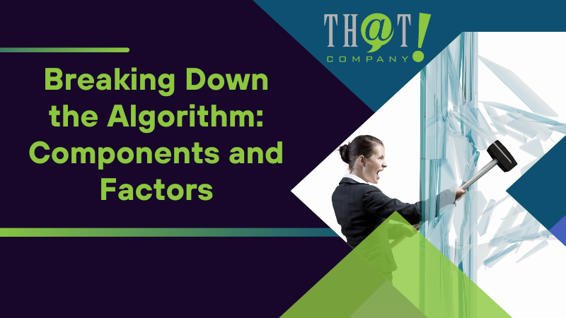 Breaking Down the Algorithm Components and Factors