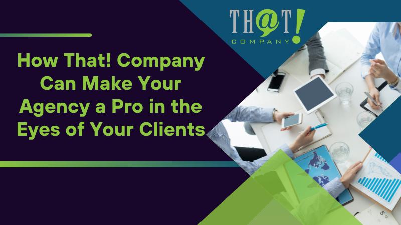 How That Company Can Make Your Agency a Pro in the Eyes of Your Clients