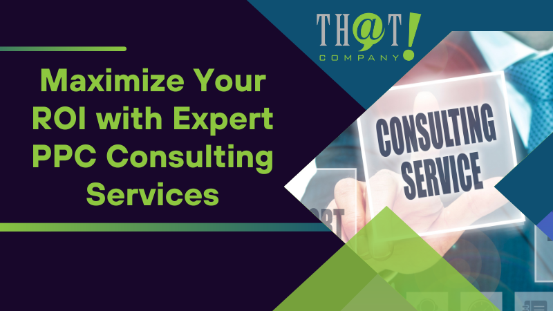 Maximize Your ROI with Expert PPC Consulting Services