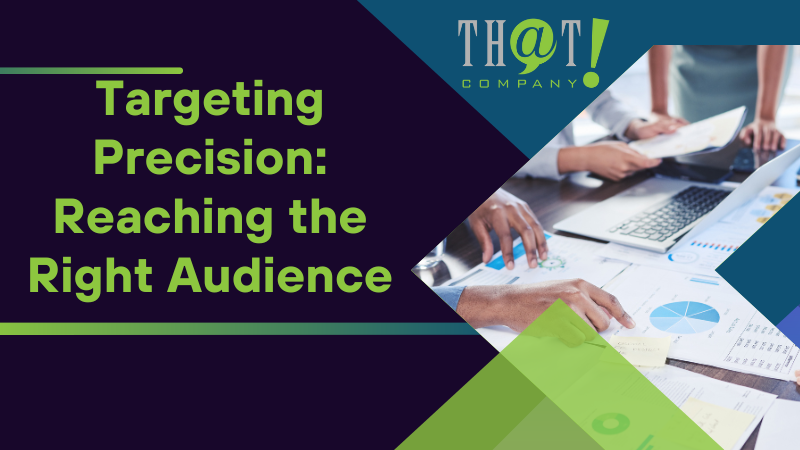 Targeting Precision Reaching the Right Audience