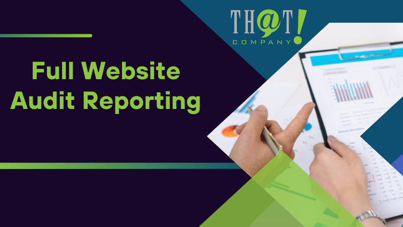 Full Website Audit Reporting